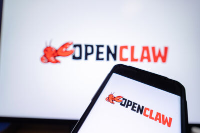 OpenClaw暗藏多項漏洞！中國發布國家級「安全警告」​