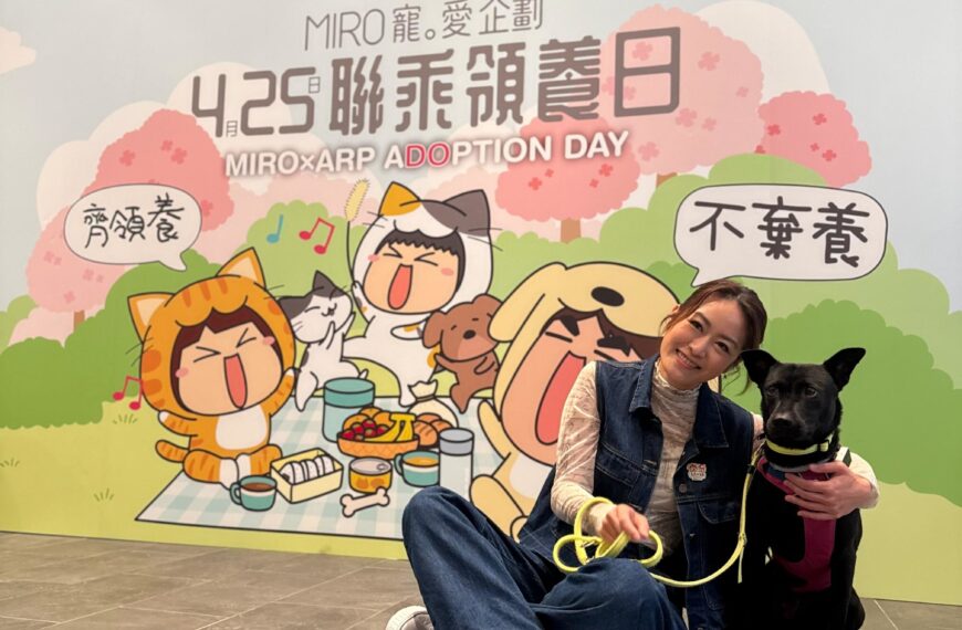 MIRO舉辦「Miro 寵‧愛企劃活動日」梁嘉琪化身「毛孩守護者」 與毛孩互動場面超有愛