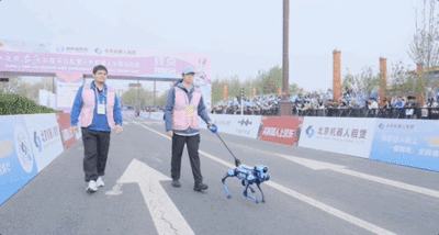 陸機器導盲犬無遙控300公尺避障成功　未來或可成為視障者良伴​