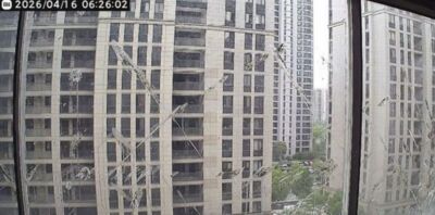 怪鳥天天報到在窗戶「以糞作畫」　陸專家：是烏鶇…復仇心理很強​