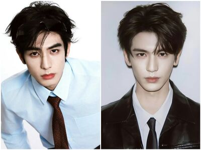 「樂見」張凌赫赴台交流　陸委會：微博曾發「中國台灣」不影響審查​